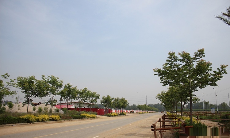 花千树·中央公园周边配套图