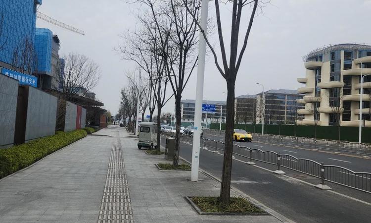 金茂璞逸云湖施工进度图