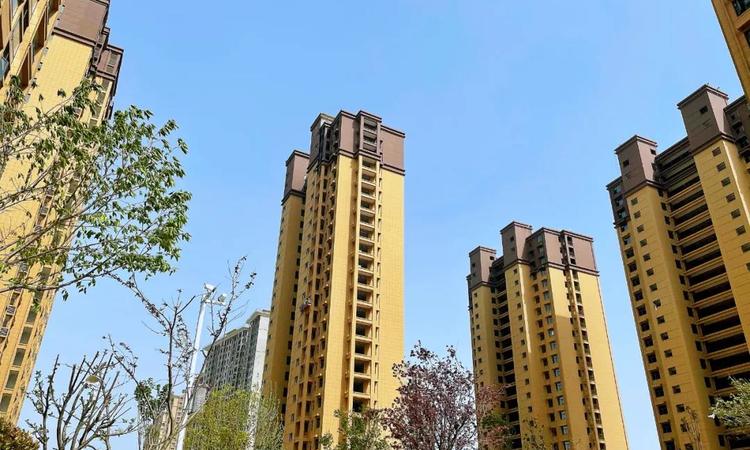 万山运河绿都施工进度图