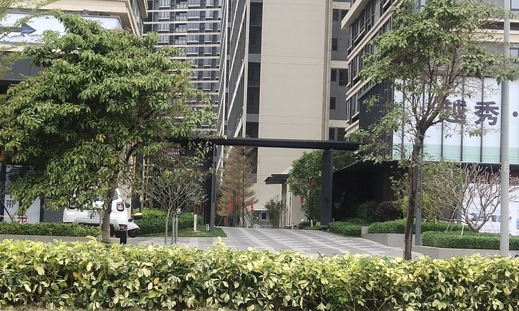 南沙越秀明珠天悦江湾施工进度图