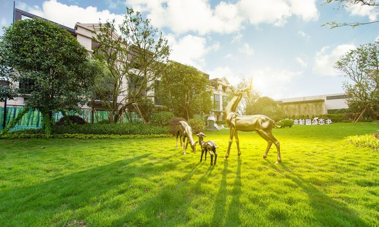 柳州荣和公园墅实景图