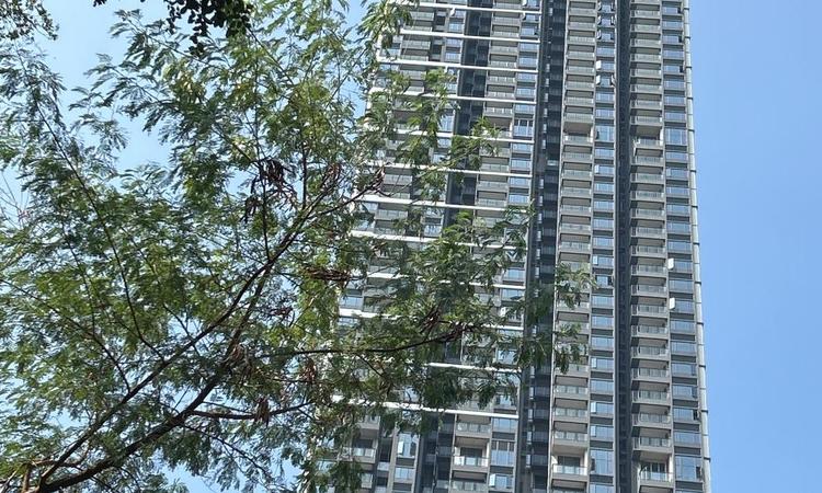 天韵府施工进度图