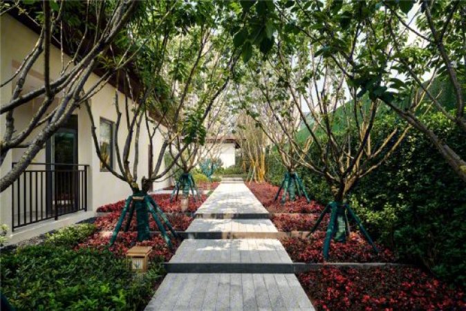 昕晖麓台山舍实景图