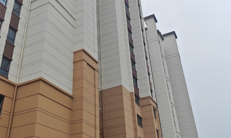 天润福庭施工进度图