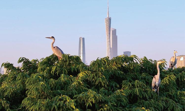 中海大境周边配套图