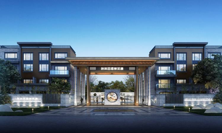 沐南山温泉康养小镇效果图