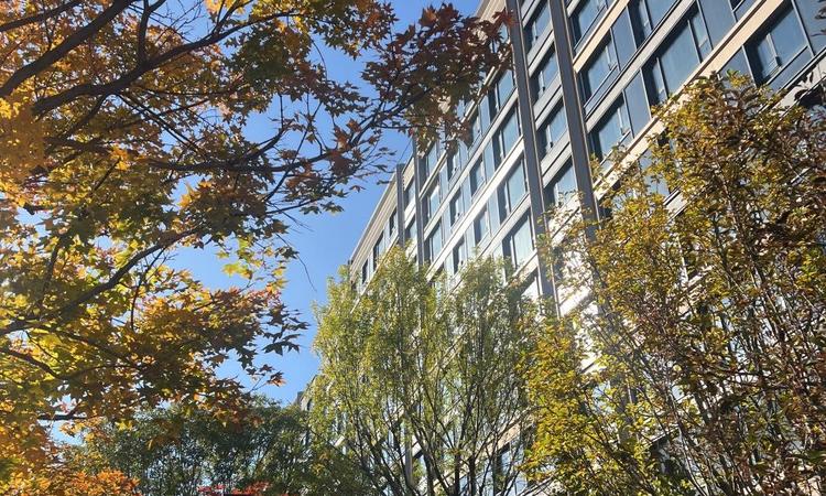 中海中旅·翠湖玖章实景图