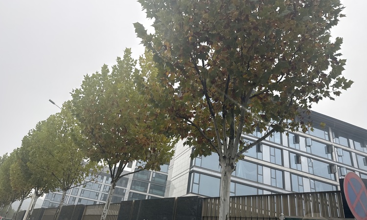 保利·璞悦施工进度图