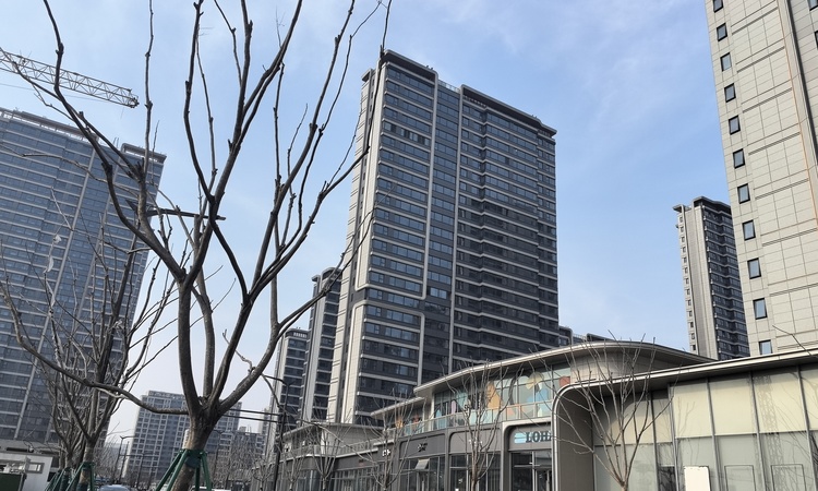 晴翠府实景图