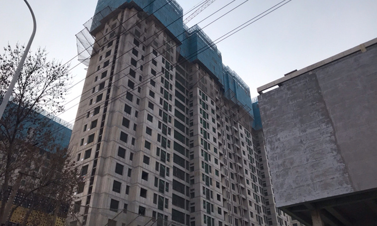 金苑·御京府施工进度图