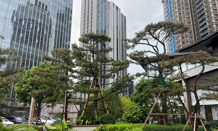 中建壹品·湖北文旅·鹏宸云筑施工进度图