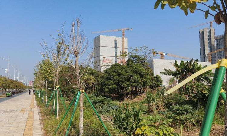 南沙开建·源筑新城实景图