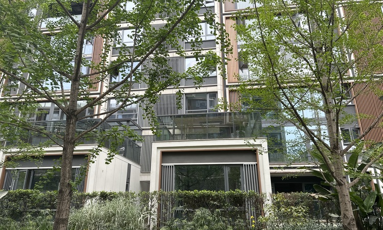 春风与辰实景图