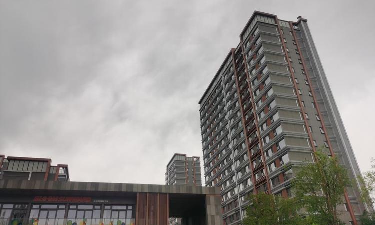 中海兴叁號院实景图