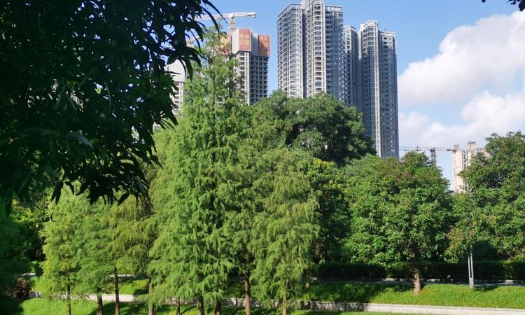 保利招商华发·中央公馆实景图