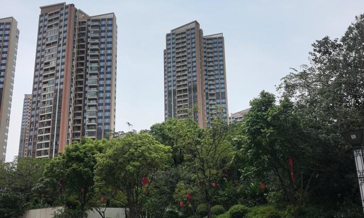 珠江花城实景图