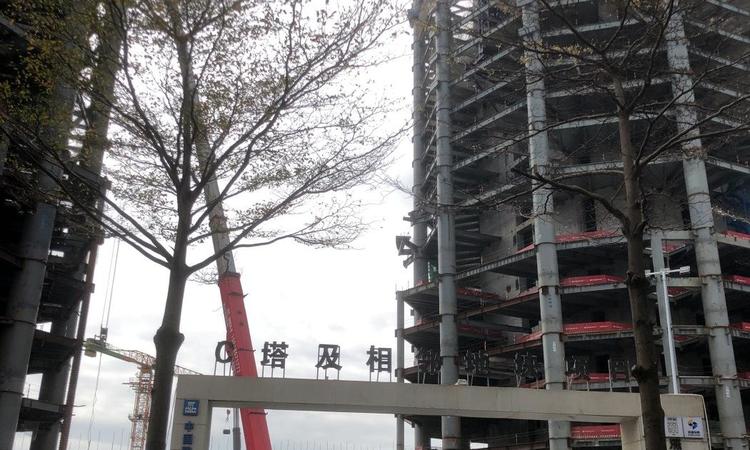 中海·深湾玖序施工进度图