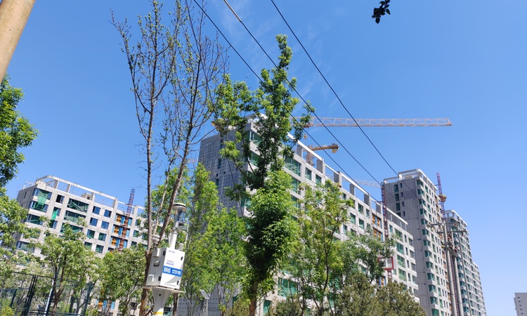 保利文华天珺施工进度图