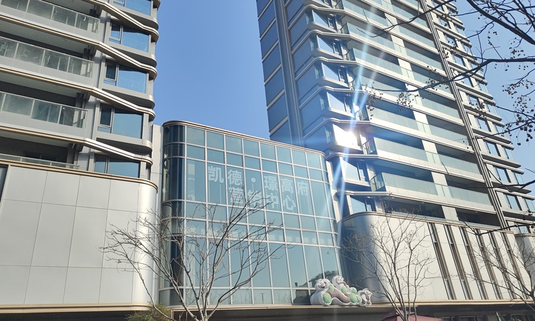 凯德璟高府施工进度图