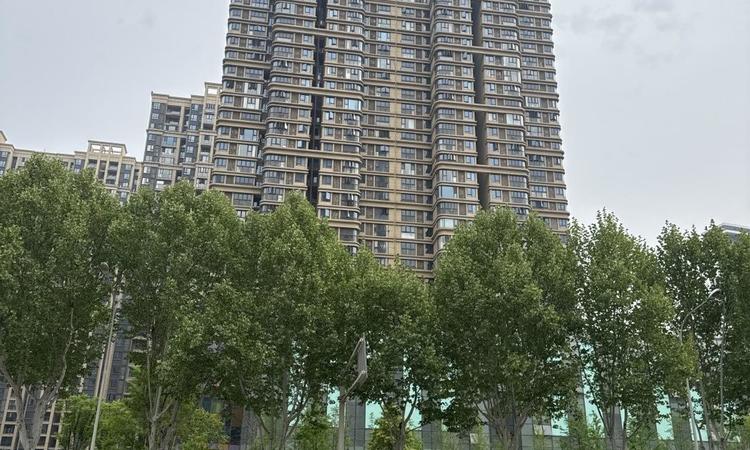 龙湖清能天曜实景图