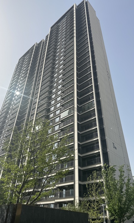 万科华生·星耀大道施工进度图