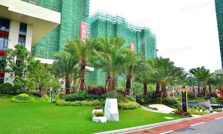 恩平碧桂园世纪城实景图