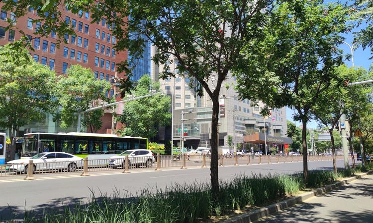 中绿东岳府周边配套图