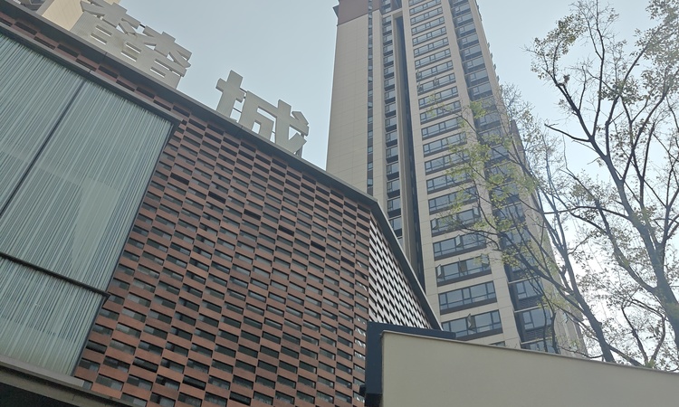 大华·锦绣麓城施工进度图