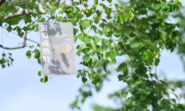 保利·四季和颂实景图