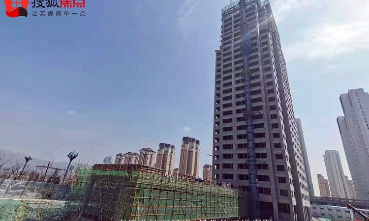 卢浮公馆双子座施工进度图