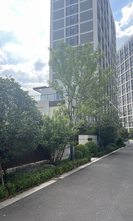 宝业德信宸光里施工进度图