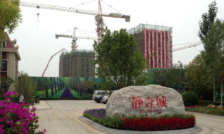 大发·宜景城四期实景图