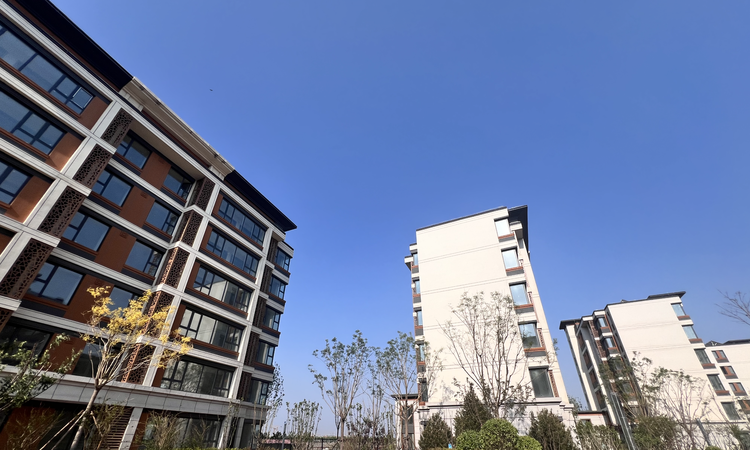 中新·半湖伴杉实景图