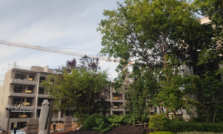 和谐山和府施工进度图