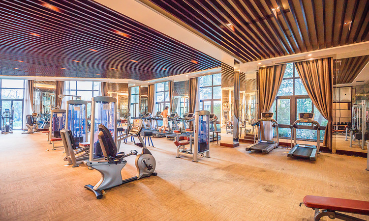 碧桂园凤凰城周边配套图