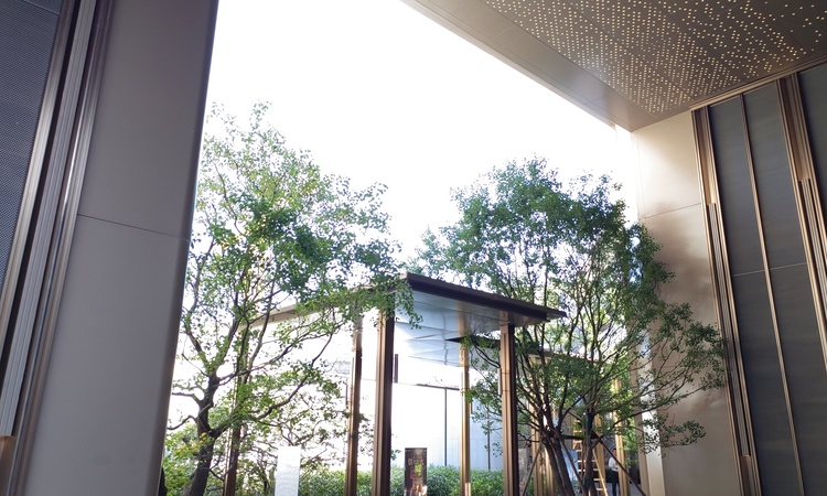 保利滨江和著实景图