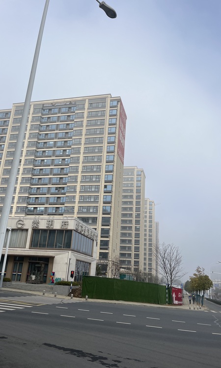 港龙天利棠玥府施工进度图