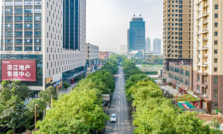 滨江天禧府周边配套图