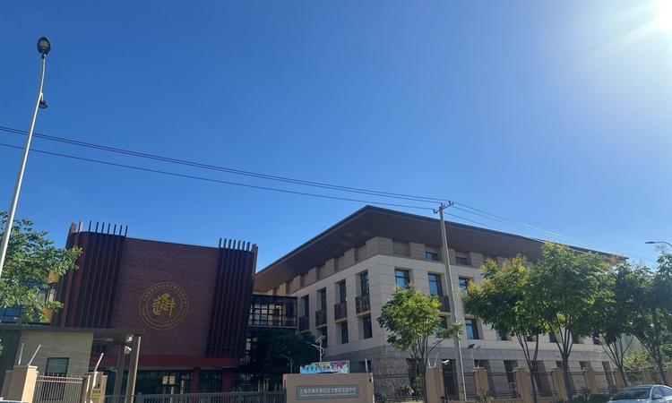 金桥碧云澧悦周边配套图