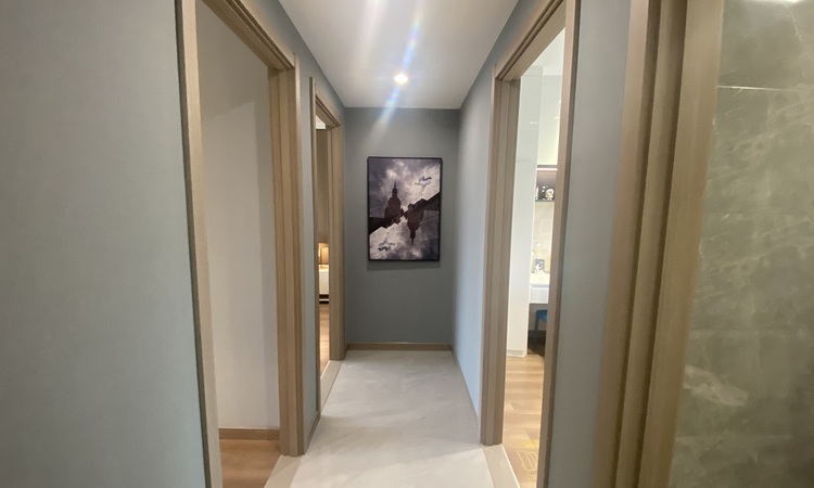 中梁星图样板间