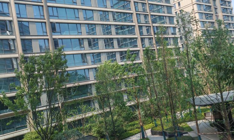 龙湖江山颂实景图