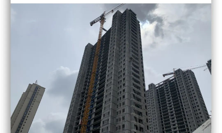 绿城德达蘭园施工进度图