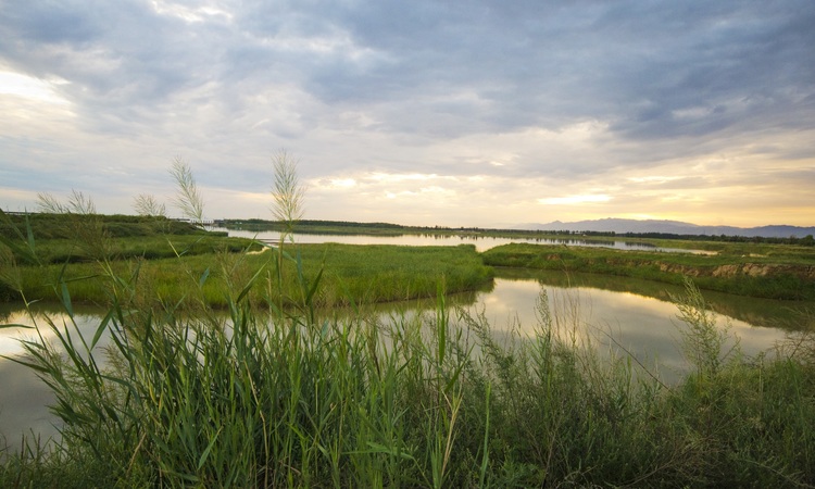  伊泰·华府荟二期周边配套图