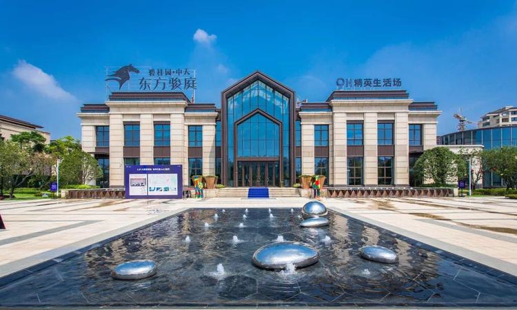 中天东方骏庭实景图