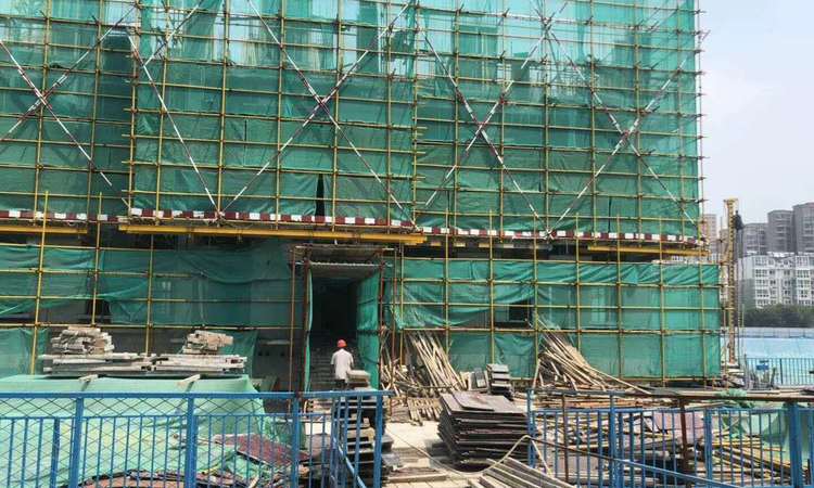 创业·齐新花园实景图