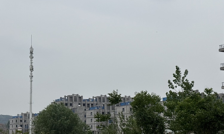 武汉城建金地和悦施工进度图