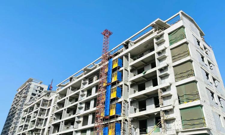 永威枫林上院施工进度图