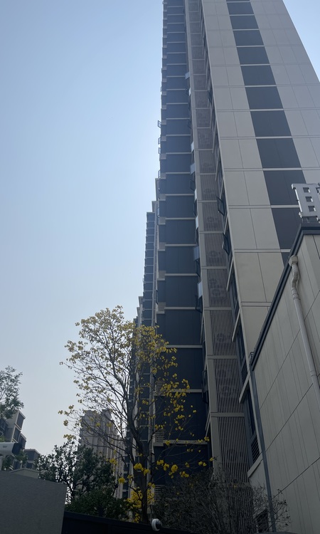 联发臻荣府施工进度图