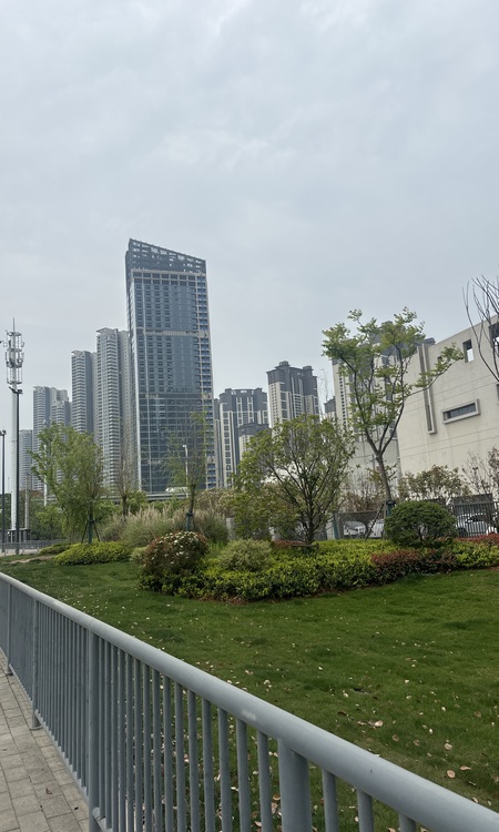 中国电建地产·洺悦江湾施工进度图