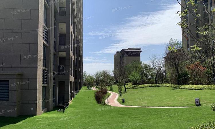 宝鸡碧桂园·凤凰城实景图